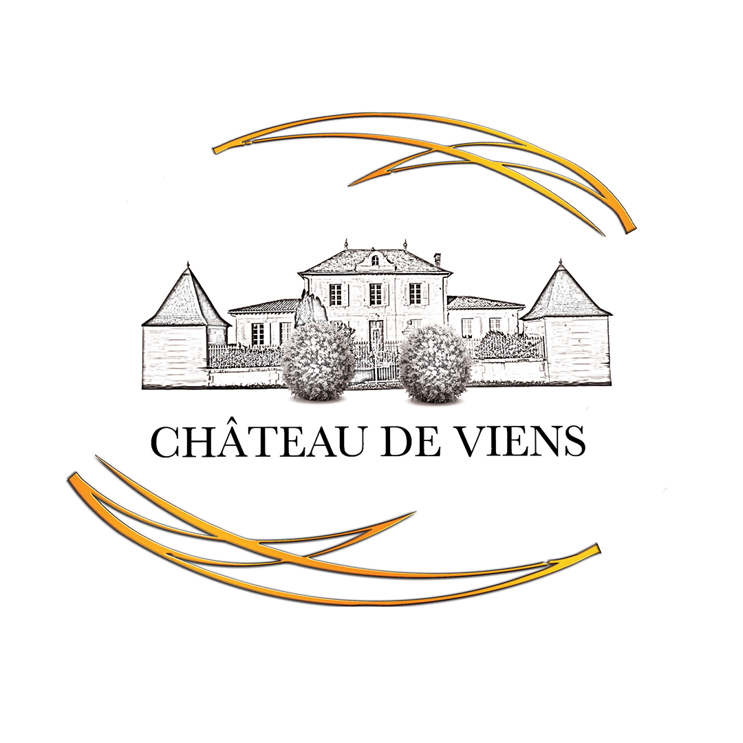 ch-teau-de-viens-syndicat-des-c-tes-de-bourg